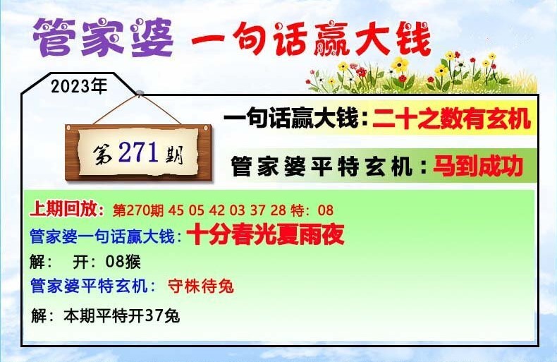 7777788888管家婆一肖码,平衡性策略实施指导_复古版91.882