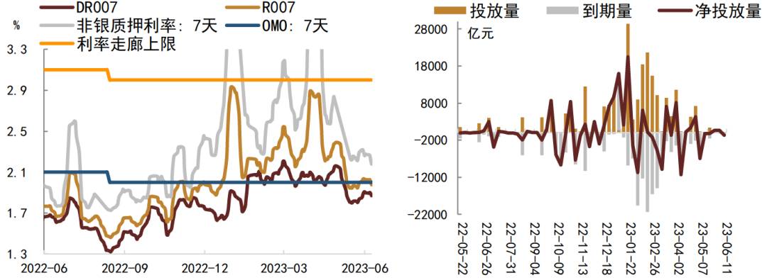 今晚王中王资料图,数据设计驱动策略_影像版66.893